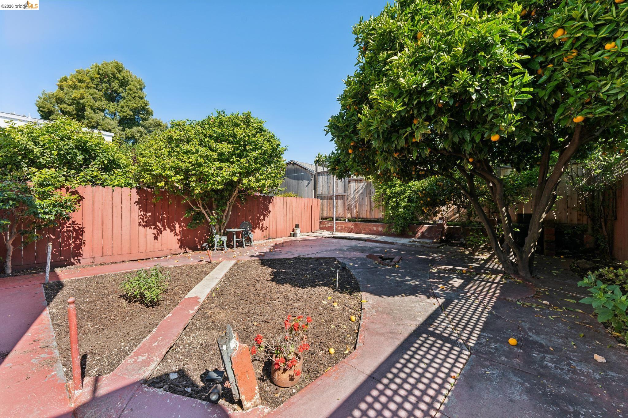 978 43rd Street Oakland, CA 94608 - Photo 40 of 46 Expansive backyard featuring a privacy fence, mature fruit trees, concrete pathways, and dedicated planting areas