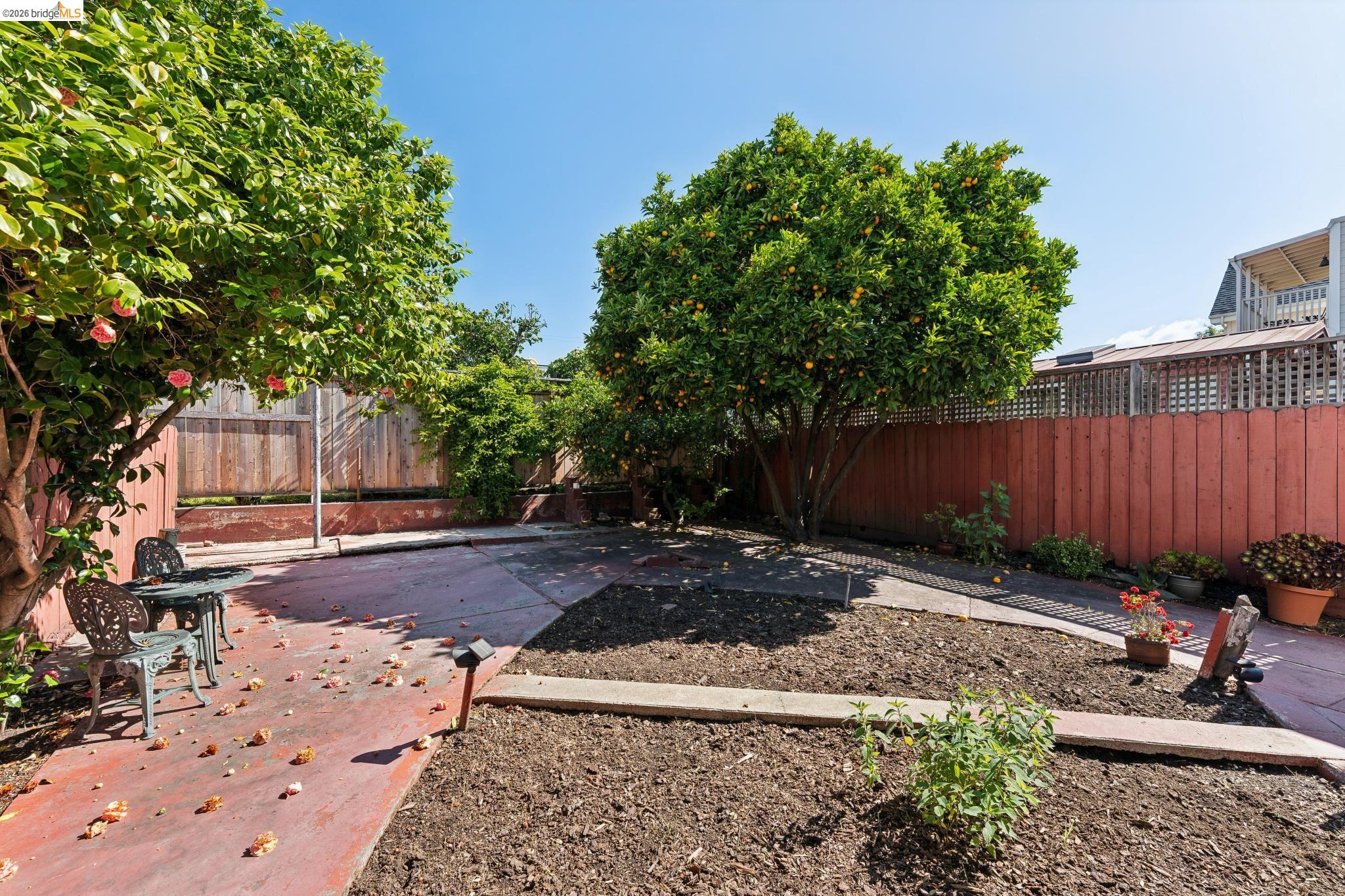 978 43rd Street Oakland, CA 94608 - Photo 41 of 46 Spacious backyard featuring a concrete patio, mature fruit-bearing trees, and a wooden privacy fence