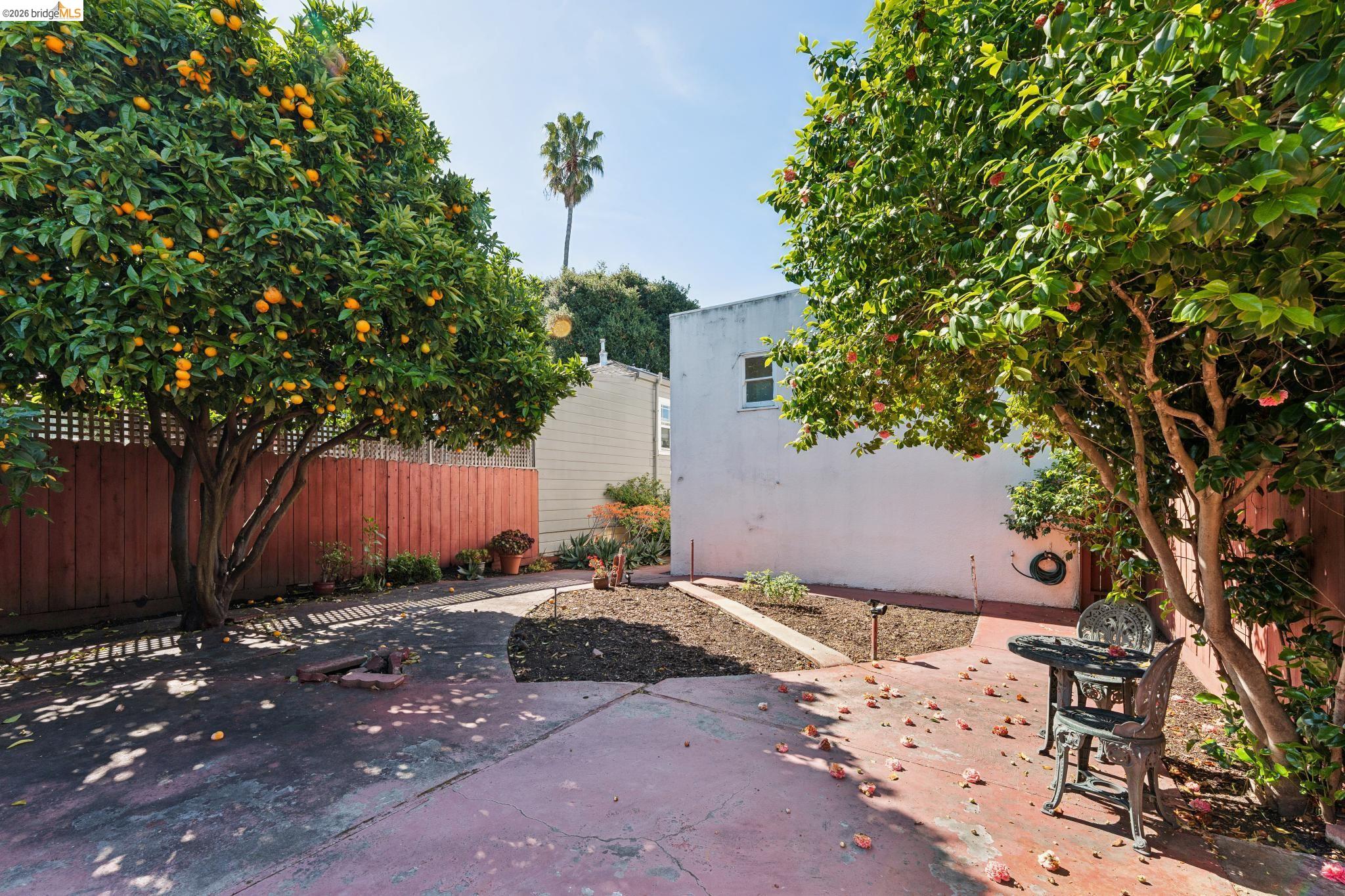 978 43rd Street Oakland, CA 94608 - Photo 42 of 46 Backyard space featuring a mature citrus tree, concrete patio, and a privacy fence