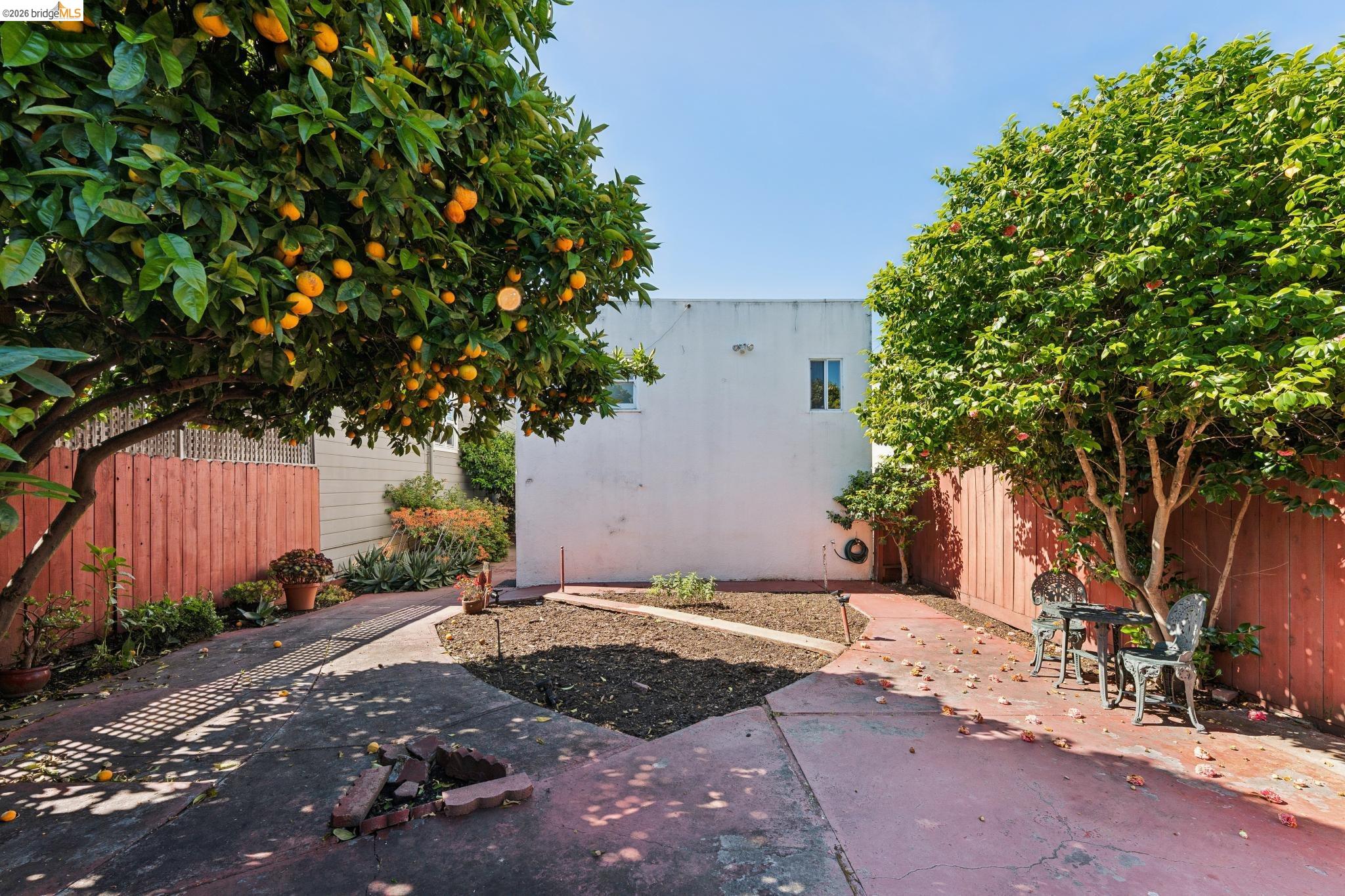 978 43rd Street Oakland, CA 94608 - Photo 43 of 46 Paved patio area with mature citrus tree and additional mature landscaping