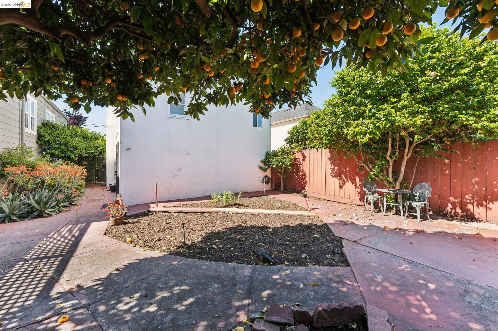 978 43rd Street Oakland, CA 94608 - Photo 44 of 46 Expansive outdoor space featuring mature citrus trees, a concrete patio, and a red-toned privacy fence