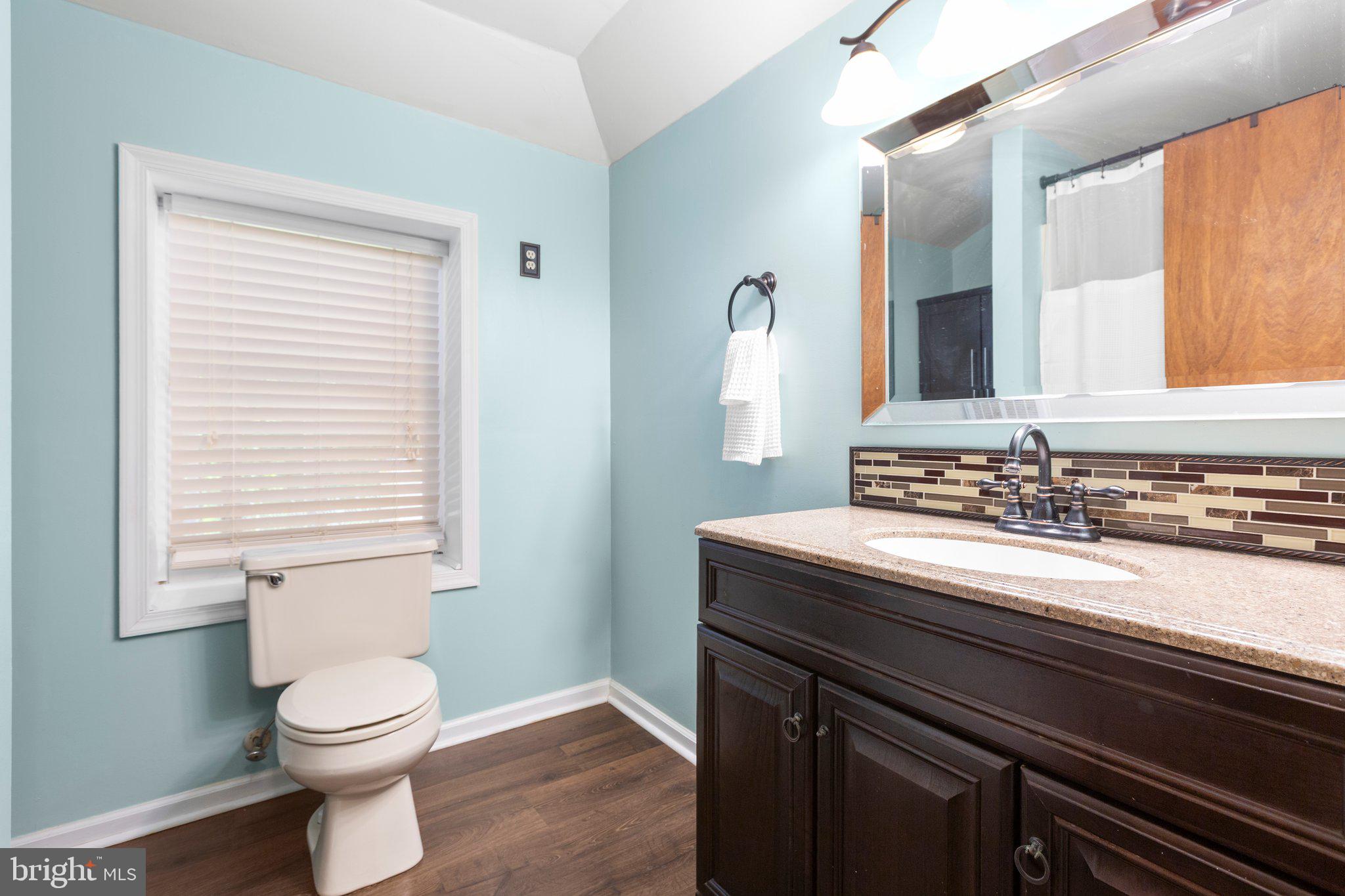 228 Cedar Ridge Drive Ruther Glen, VA 22546 - Photo 38 of 77 a bathroom with a sink a toilet and a mirror