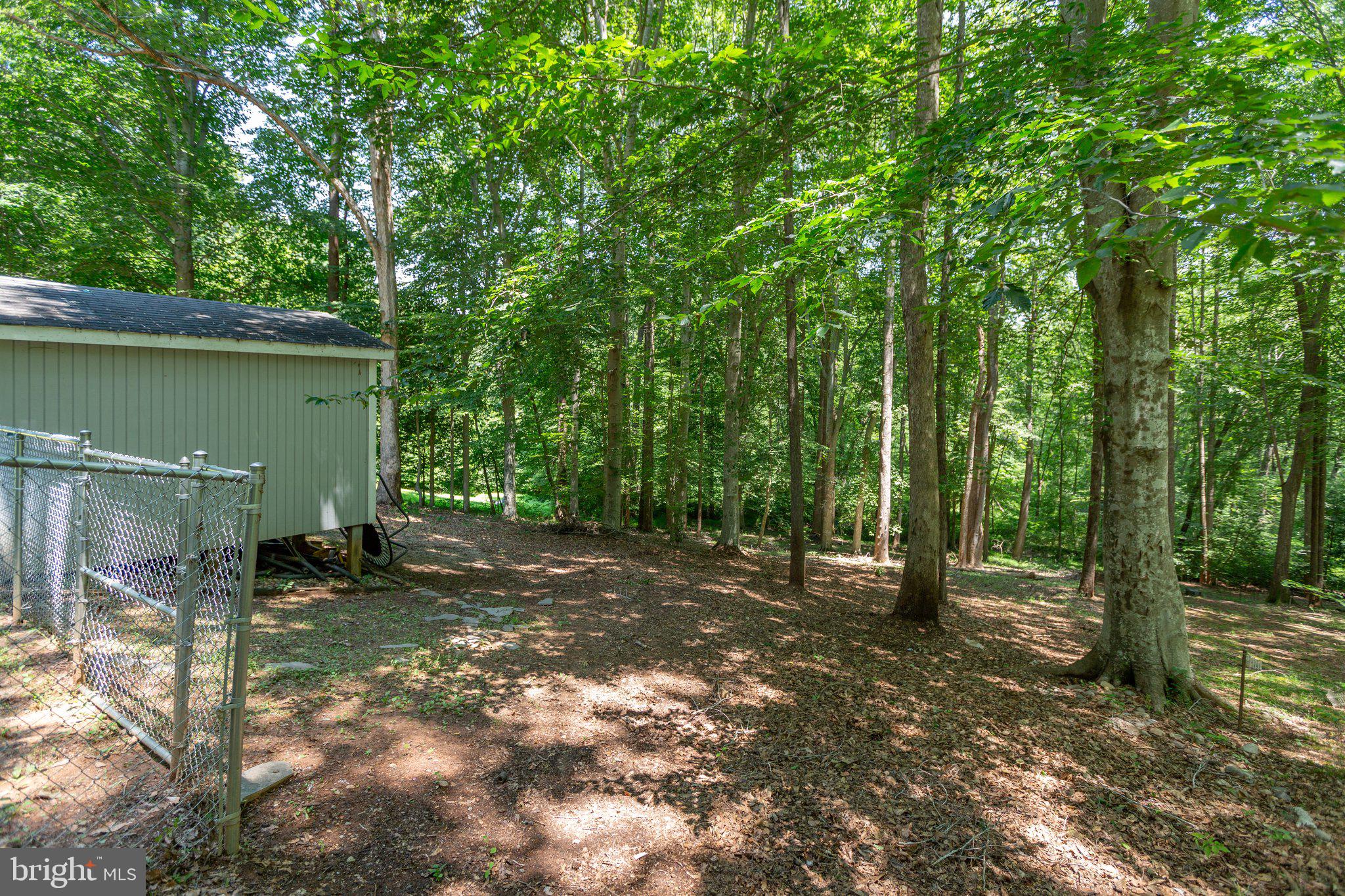 228 Cedar Ridge Drive Ruther Glen, VA 22546 - Photo 52 of 77 a view of outdoor space with trees