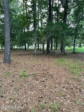 $110,000 | 41 Oyster Pointe Drive, Sunset Beach, NC 28468