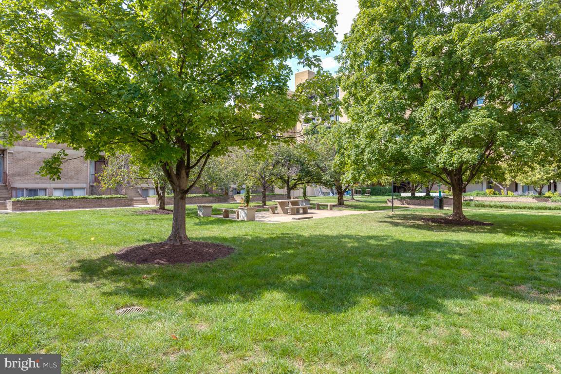 292 M Street Southwest, Unit 292 Washington, DC 20024 - Photo 28 of 29 Park like setting outside your gate