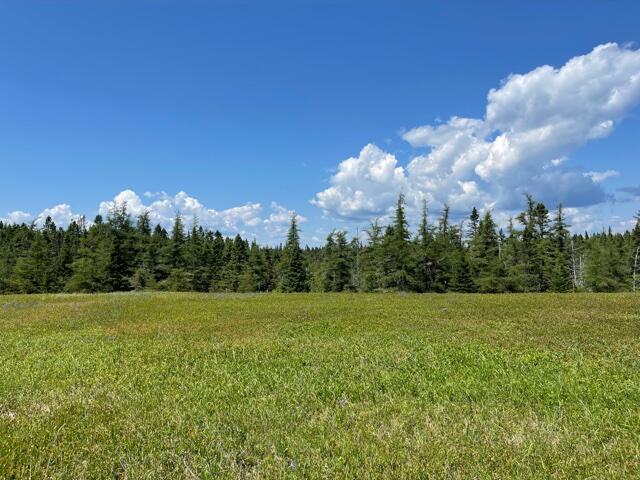 Lots 6-1&2 Lots 6-1&2 Ridge Road Cutler, ME 04626 - Photo 11 of 22 IMG_5614