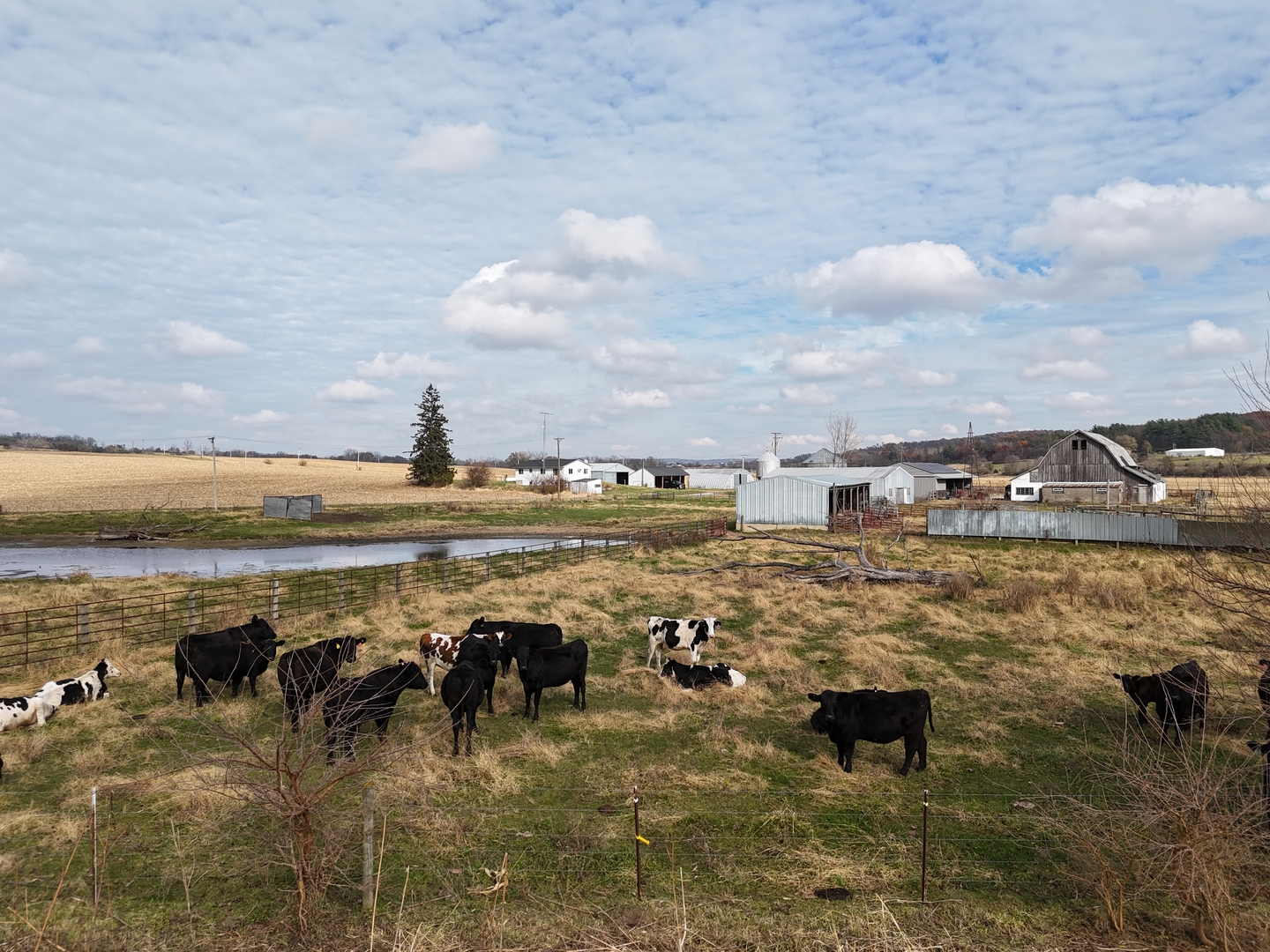 6977 South Elmoville Road Stockton, IL 61085 - Photo 12 of 14 a view of an ocean