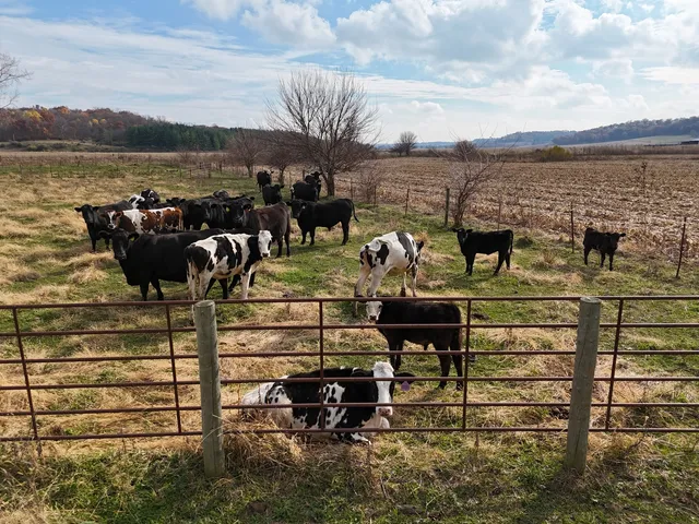 $485,000 | 6977 South Elmoville Road, Stockton, IL 61085