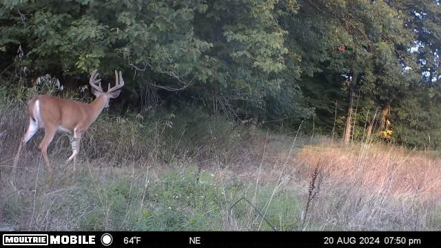 2255 River Road Hastings, MI 49058 - Photo 39 of 94