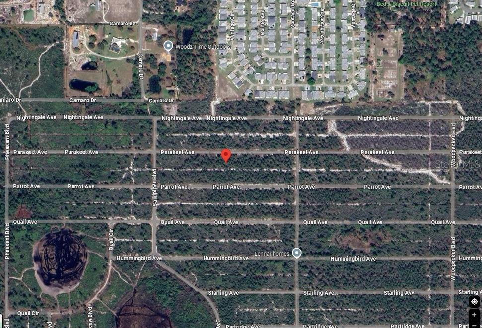 629 Parakeet Avenue Sebring, FL 33872 - Photo 3 of 4