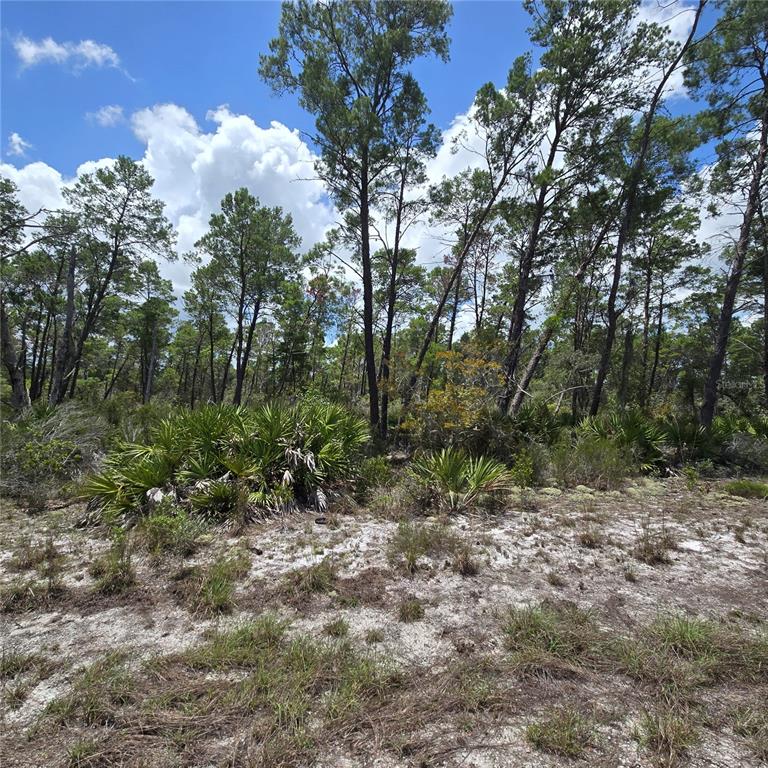 629 Parakeet Avenue Sebring, FL 33872 - Photo 4 of 4