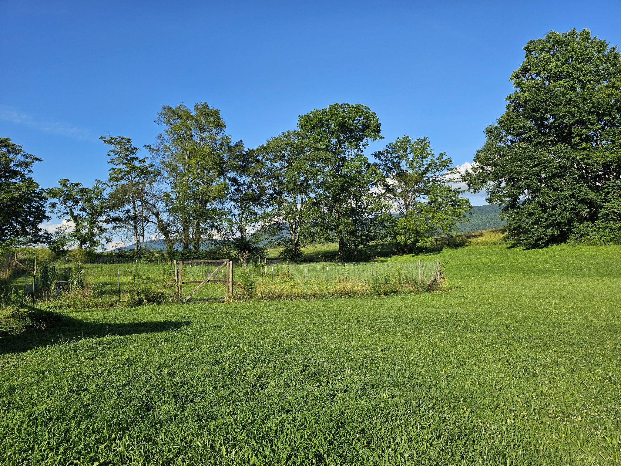 770 Jack Smith Road Dunlap, TN 37327 - Photo 11 of 48 Gallery Image 11
