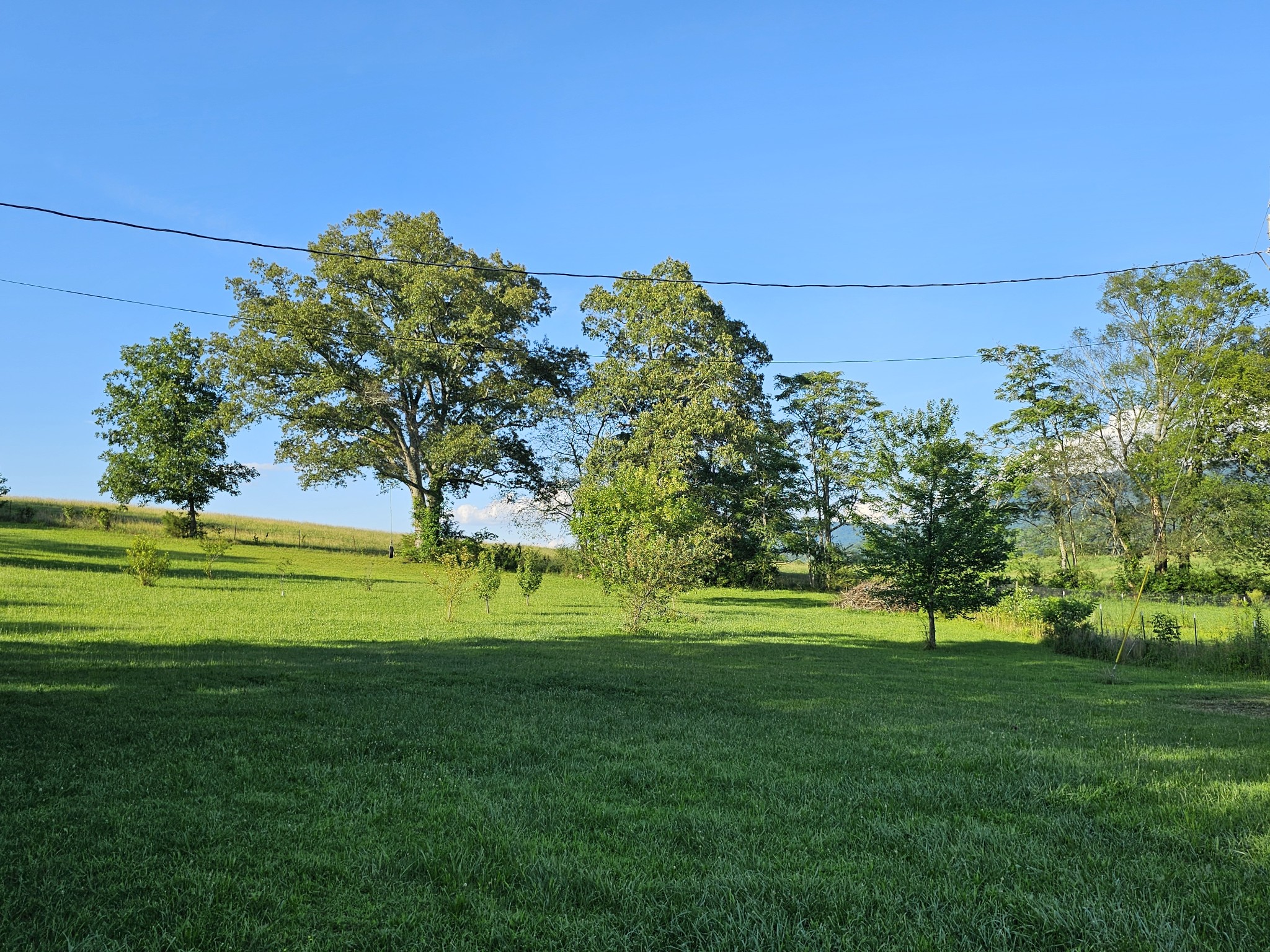 770 Jack Smith Road Dunlap, TN 37327 - Photo 13 of 48 Gallery Image 13