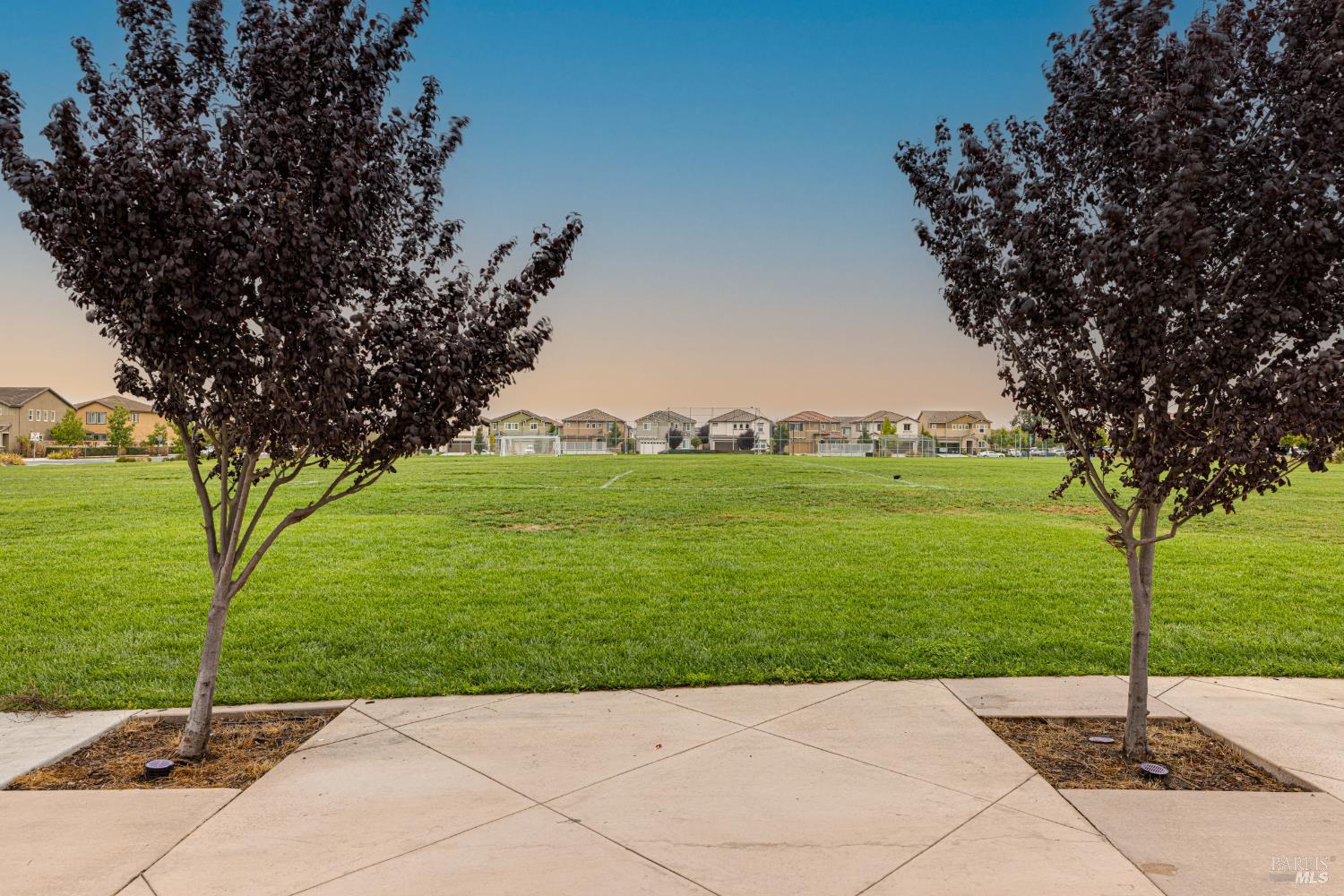 5533 Kennedy Place Rohnert Park, CA 94928 - Photo 45 of 63 a view of a garden with a tree