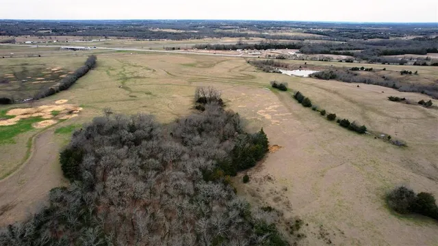 a view of a dry yard with trees