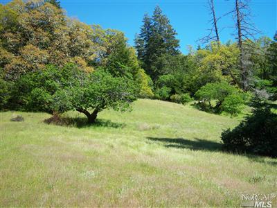 a view of a yard with a tree