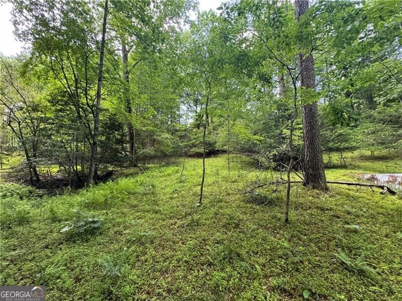 0 Ben Higgins Road Dahlonega, GA 30533 - Photo 4 of 21