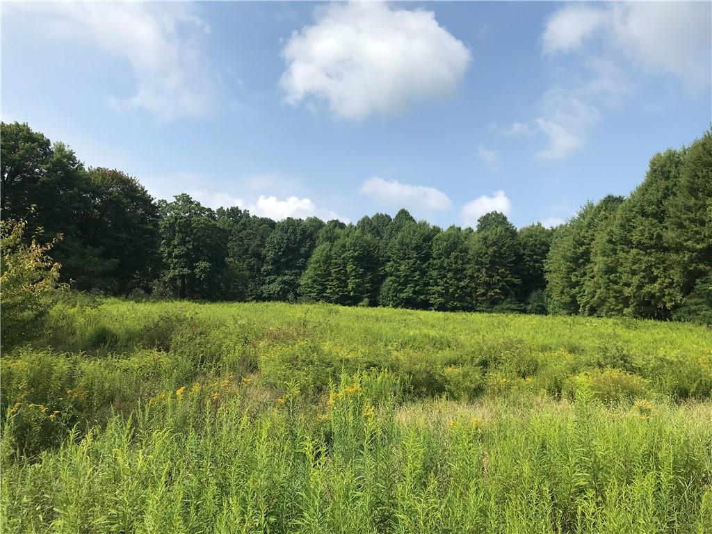 Lot #1 Butler Pike Mercer, PA 16137 - Photo 2 of 7