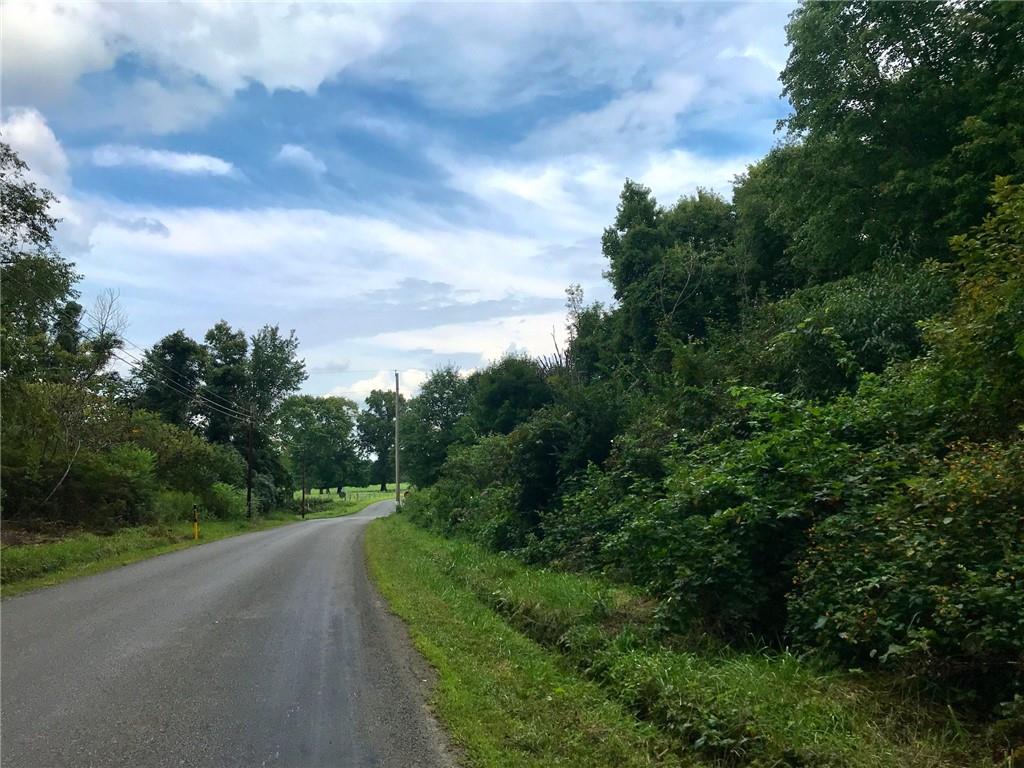 Lot #1 Butler Pike Mercer, PA 16137 - Photo 3 of 7