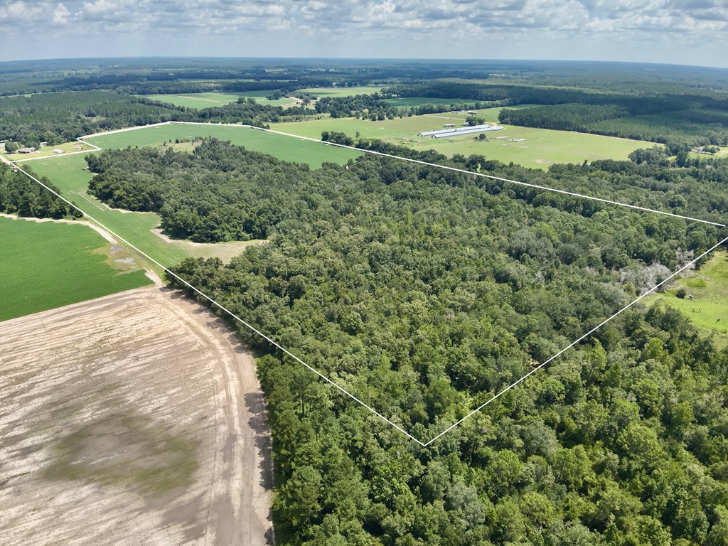 92-acres Bazemore Mill Pond Road Gordon, AL 36343 - Photo 7 of 15