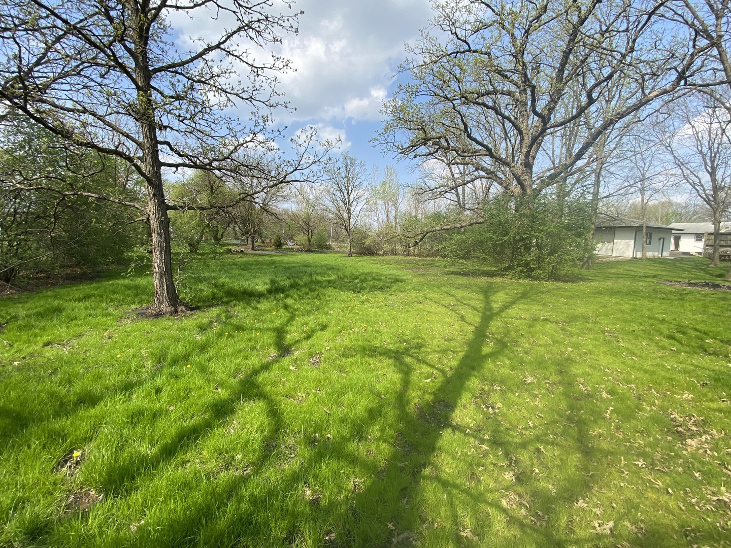 11270 Bell Road Lemont, IL 60439 - Photo 18 of 23 a view of yard with green space