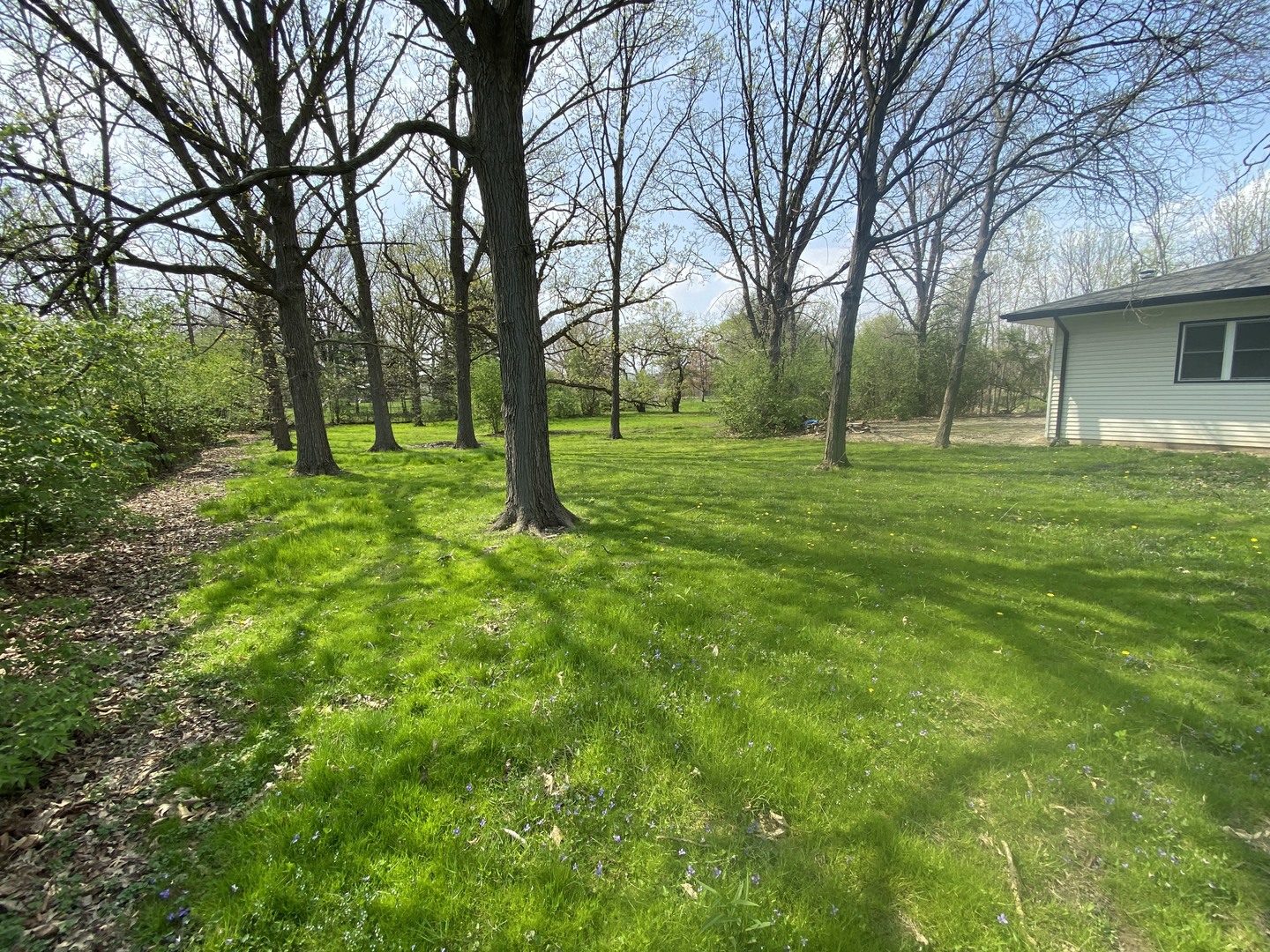 11270 Bell Road Lemont, IL 60439 - Photo 22 of 23 a big yard with lots of green space and trees