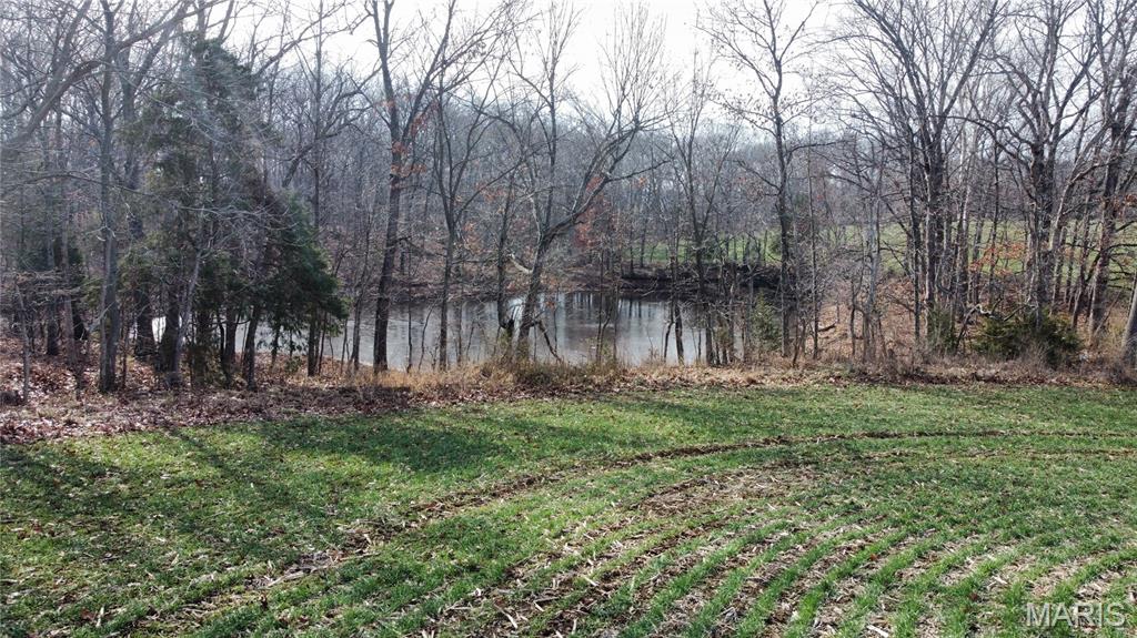 16.8 G Road Fults, IL 62244 - Photo 3 of 9