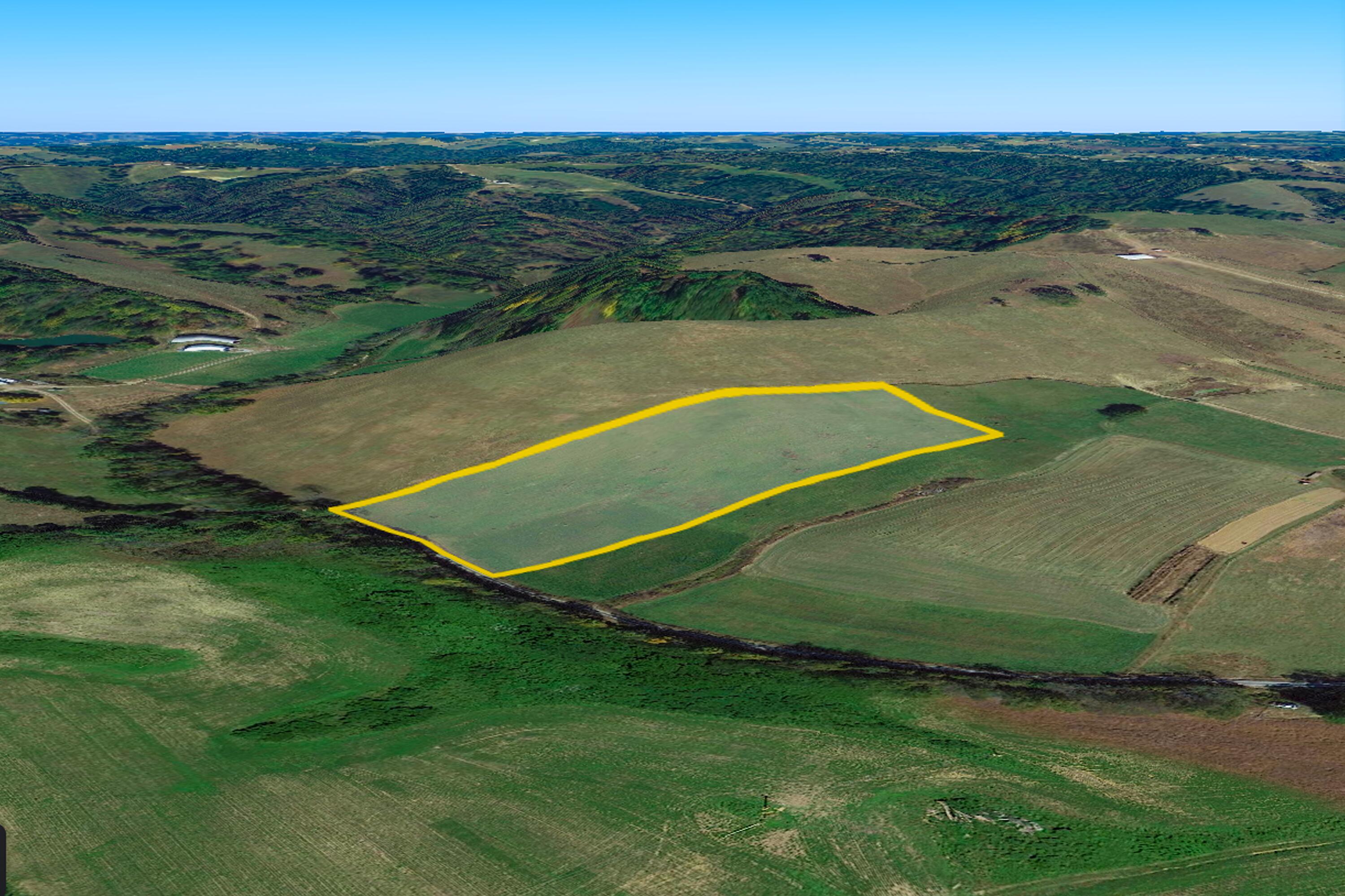 248 Jackson Branch Road Mount Olivet, KY 41064 - Photo 4 of 5 topography