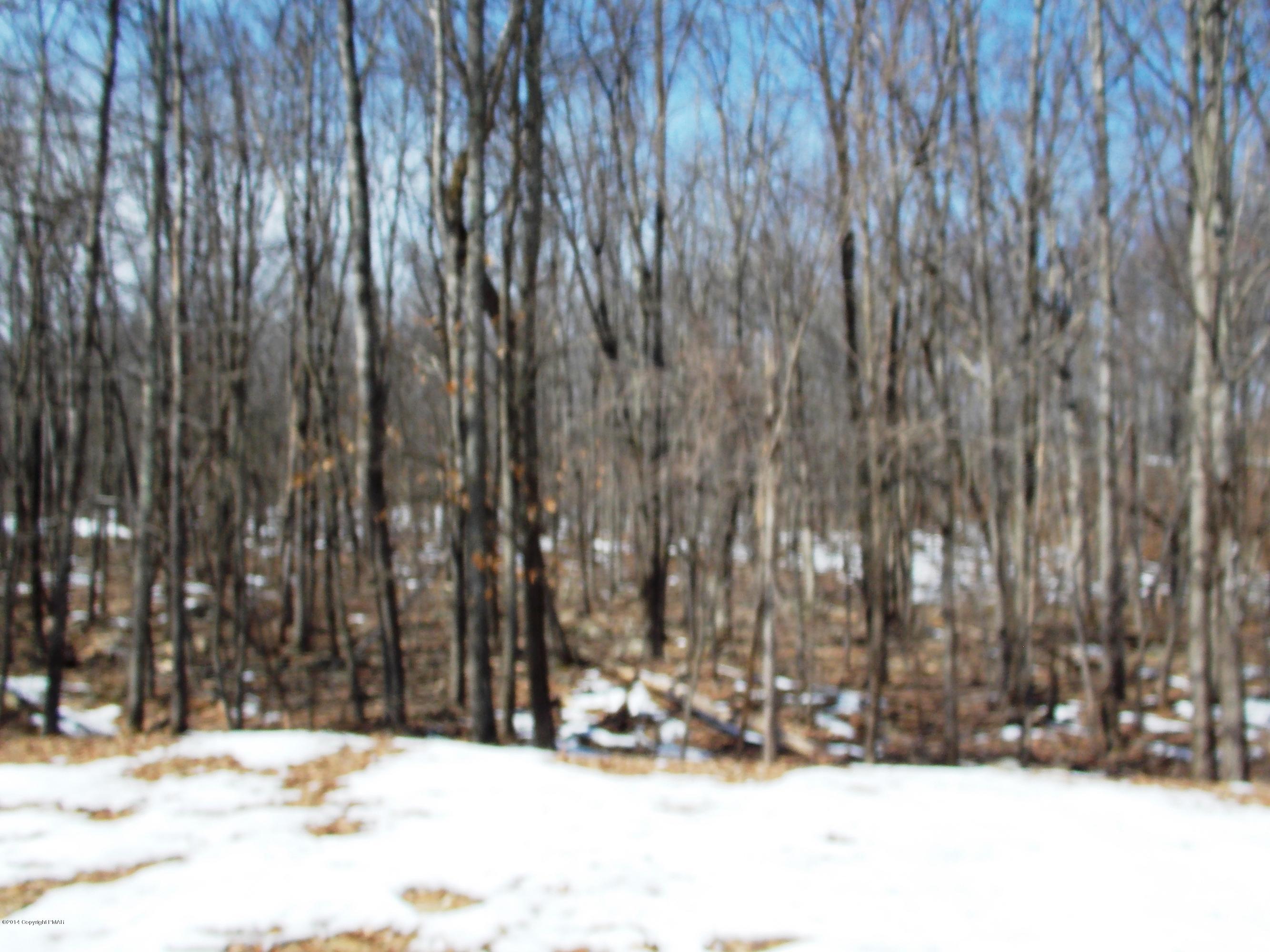 26 Lily Road East Stroudsburg, PA 18302 - Photo 45 of 48 a view of wooden fence