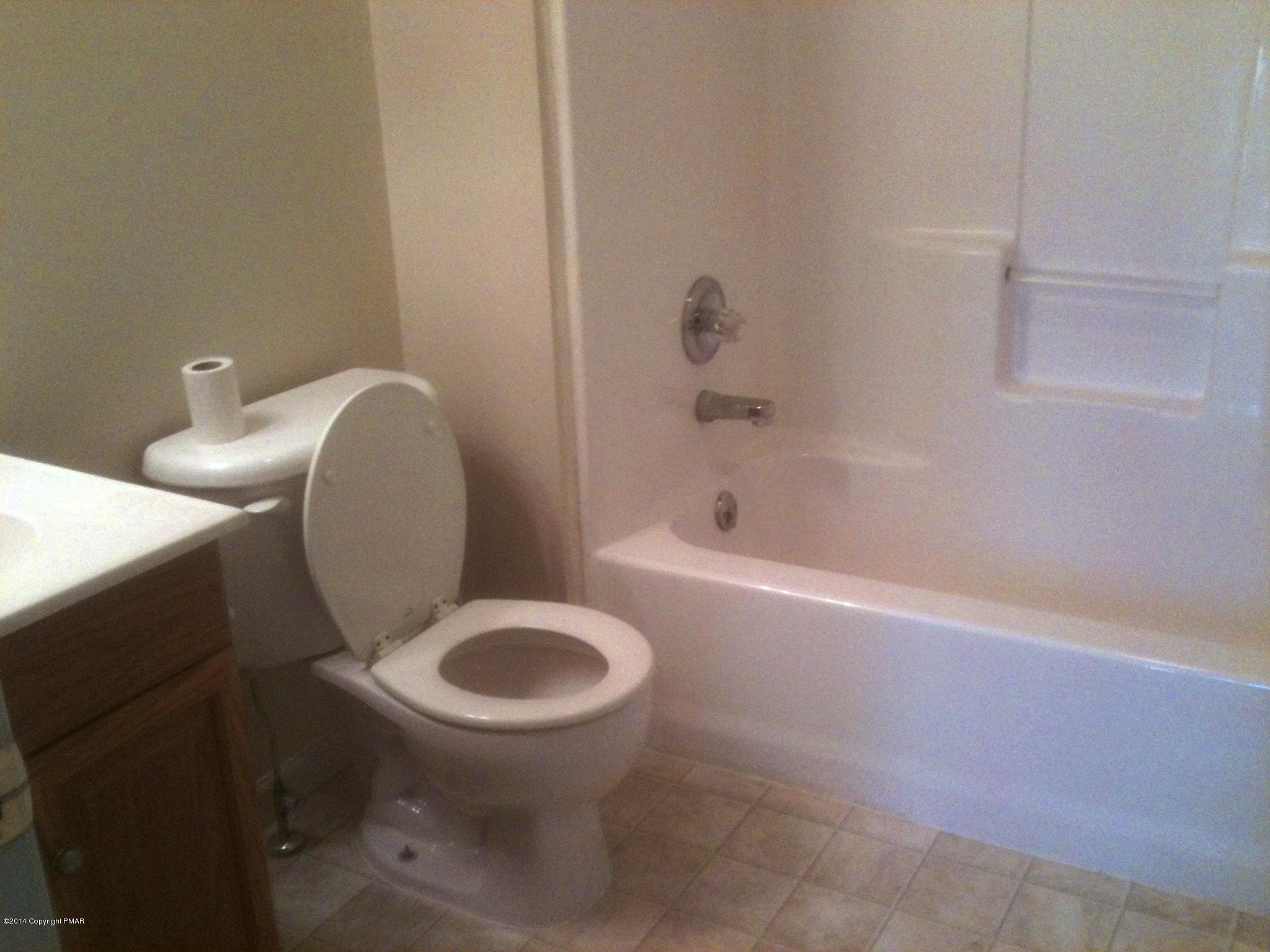 26 Lily Road East Stroudsburg, PA 18302 - Photo 10 of 48 a bathroom with a sink and a toilet