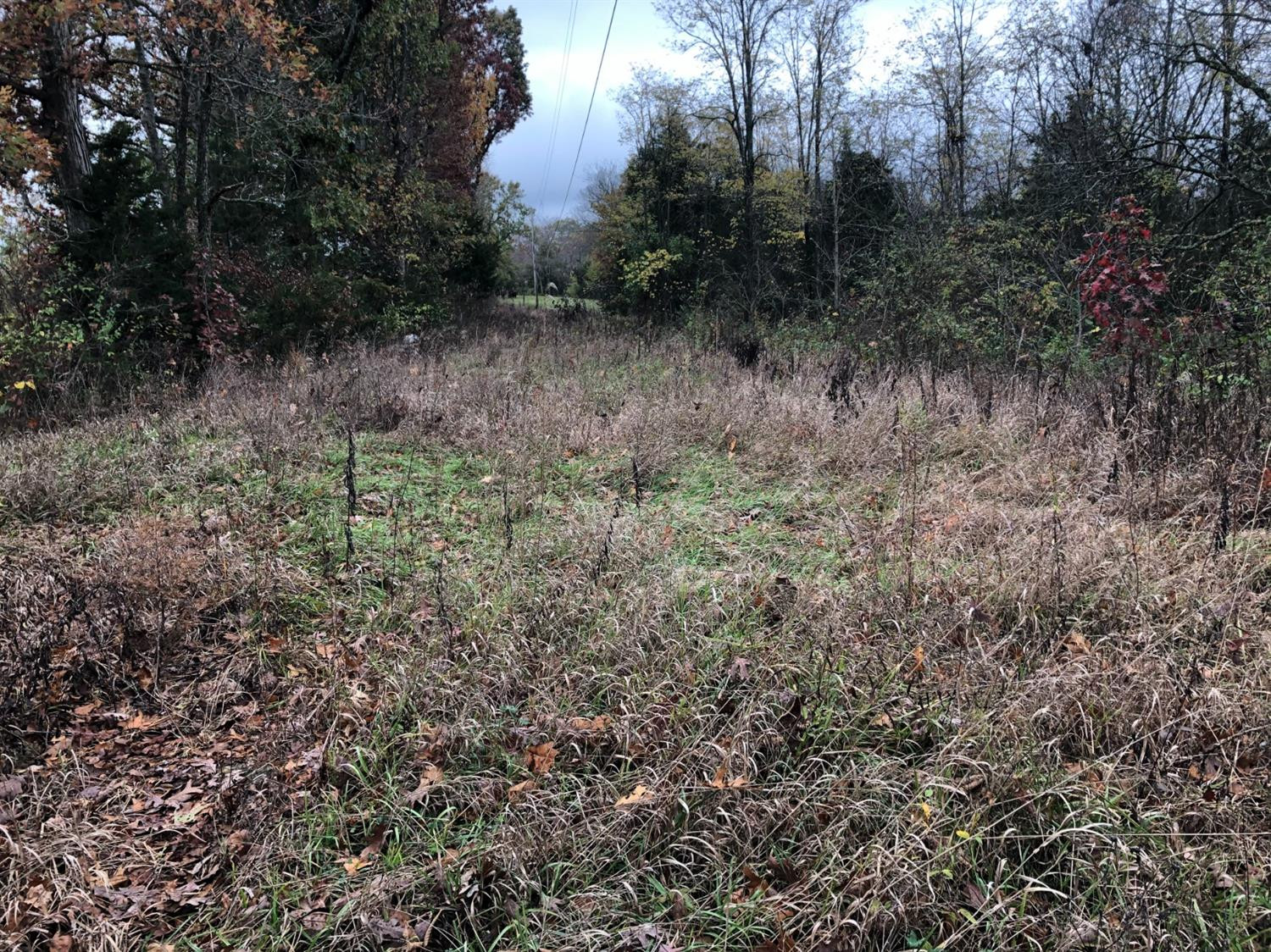 1 Johnson Road Carlisle, KY 40311 - Photo 7 of 11 Photo 7