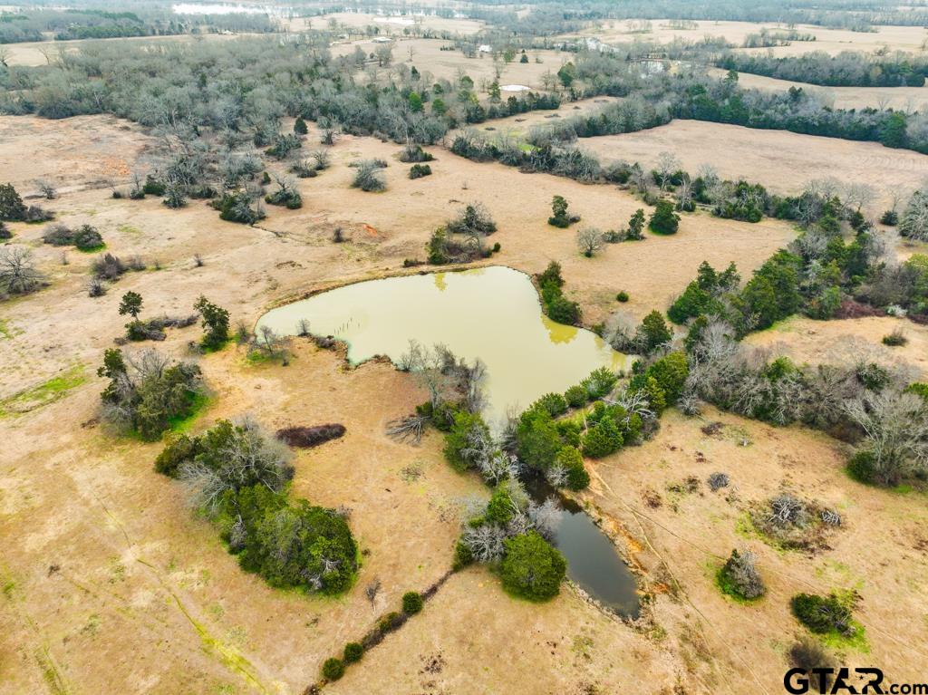 a view of a backyard of snow with trees