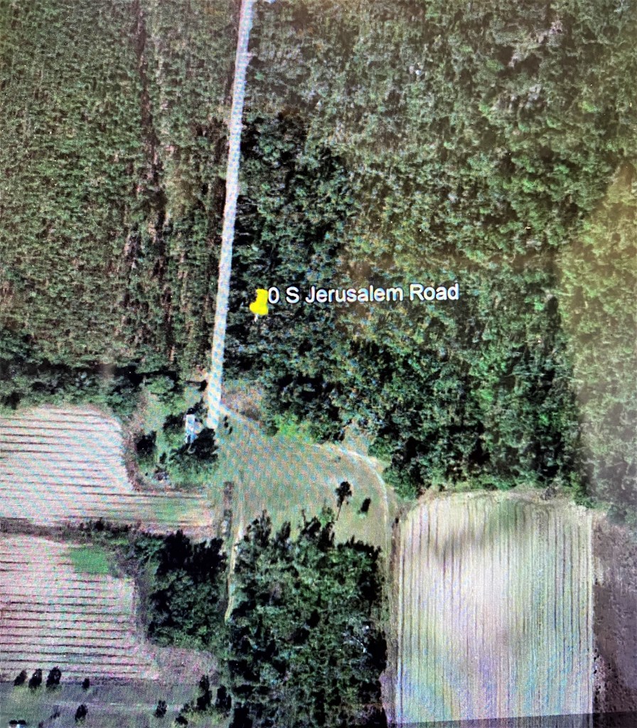 0 South Jerusalem Road Gordon, AL 36343 - Photo 2 of 2