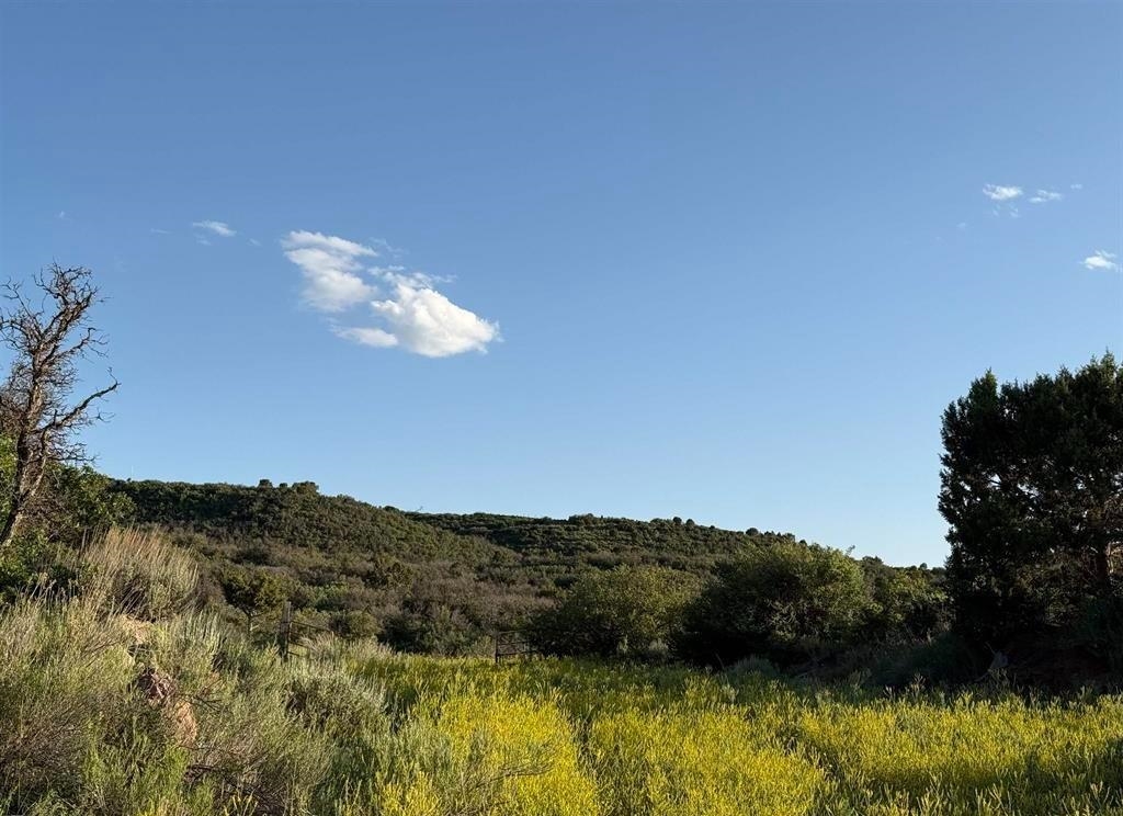 43867 Long Gulch Road Crawford, CO 81415 - Photo 33 of 42 Gallery Image 33