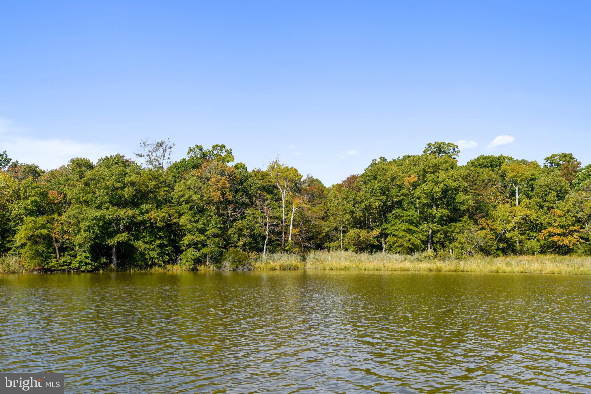 1747 Columbia Beach Road Shady Side, MD 20764 - Photo 5 of 18 Enjoy wonderful times kayaking or paddleboarding