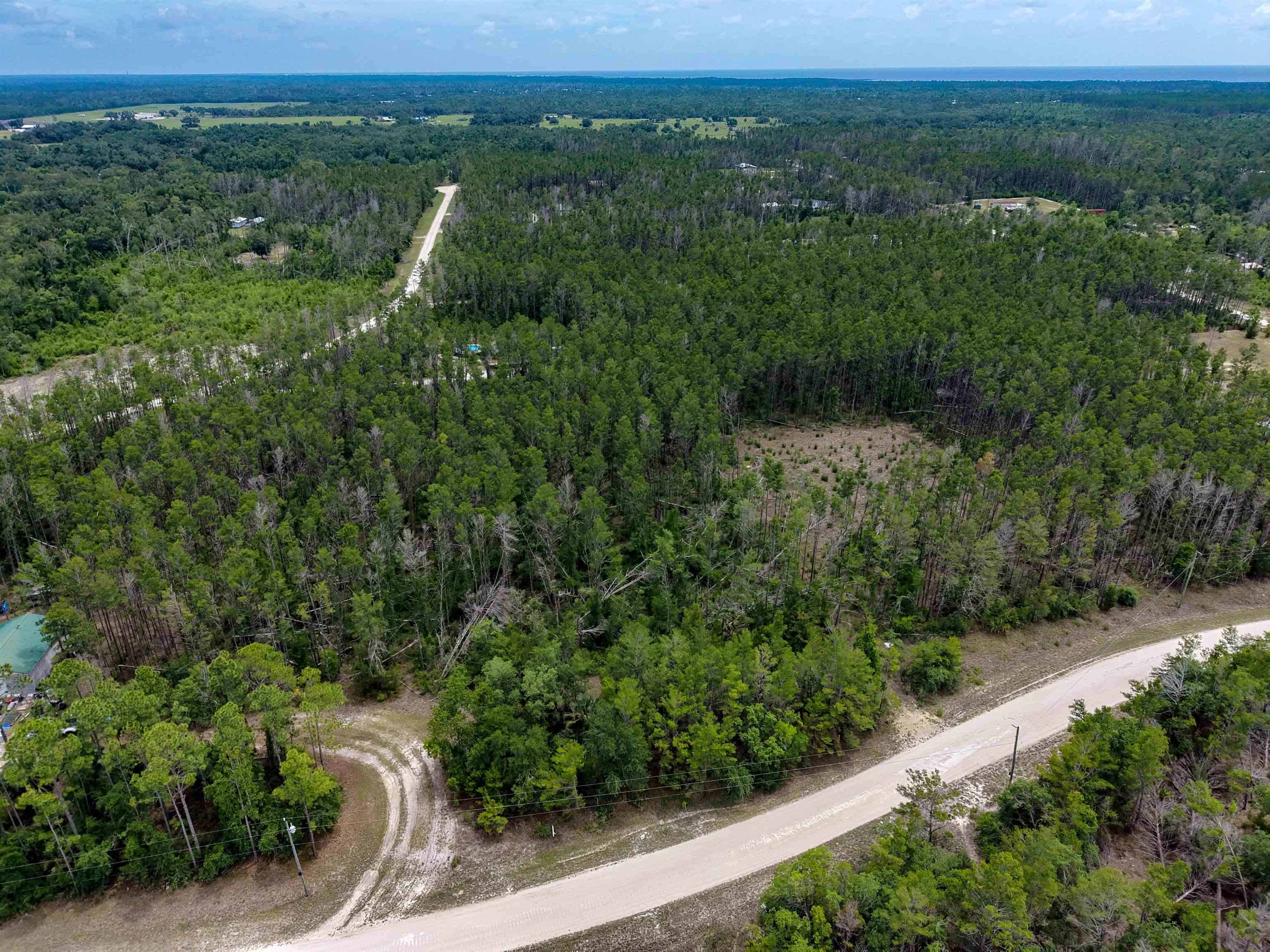 Tbd Ocean Pond Road Perry, FL 32348 - Photo 7 of 21