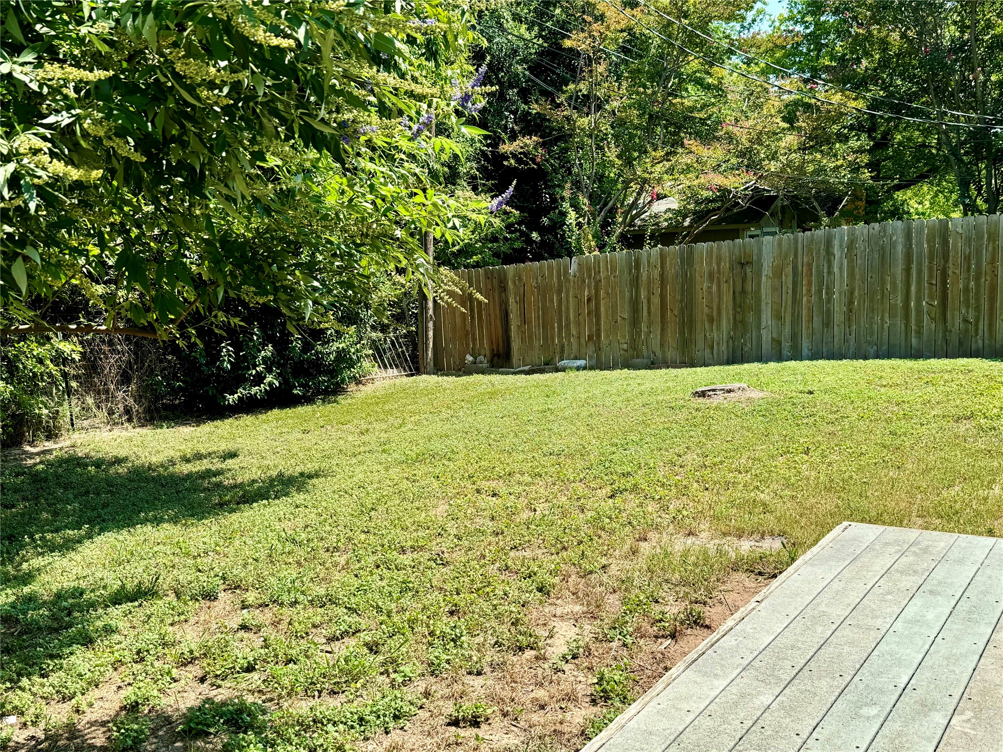 667 Mairo Street Austin, TX 78748 - Photo 22 of 25 Private backyard