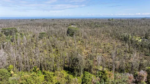 a view of a dry yard with trees