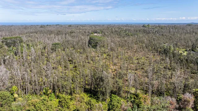 $39,000 | 3549 Road 4 (io Kea) Kurtistown Hi 96760, Pahoa, HI 96778