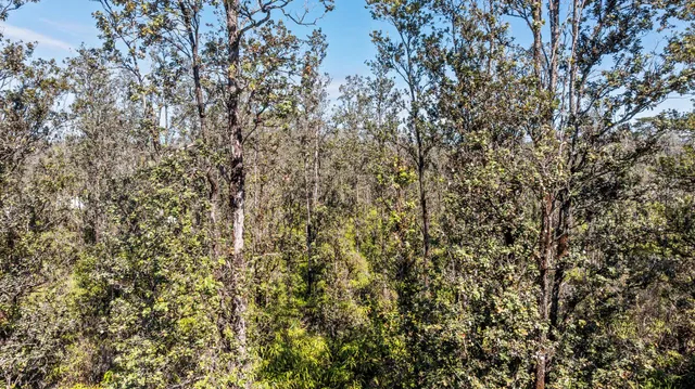 $39,000 | 3549 Road 4 (io Kea) Kurtistown Hi 96760, Pahoa, HI 96778