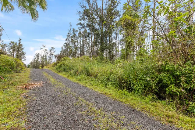 $39,000 | 3549 Road 4 (io Kea) Kurtistown Hi 96760, Pahoa, HI 96778