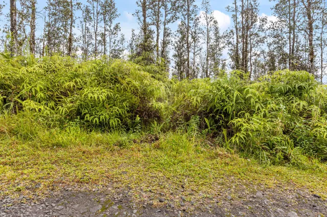 $39,000 | 3549 Road 4 (io Kea) Kurtistown Hi 96760, Pahoa, HI 96778
