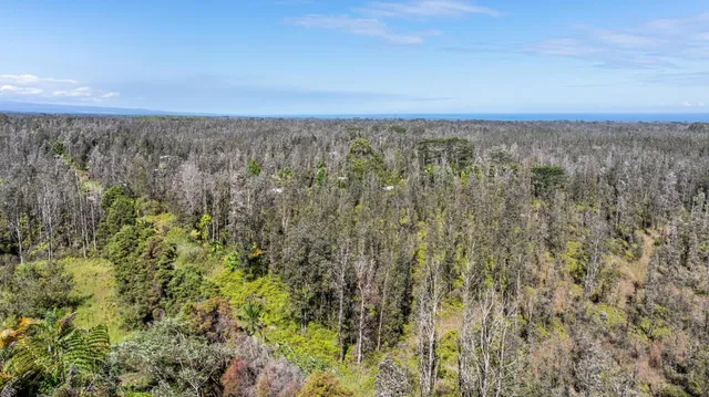 $39,000 | 3549 Road 4 (io Kea) Kurtistown Hi 96760, Pahoa, HI 96778