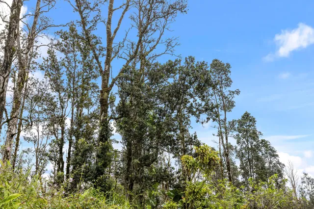 $39,000 | 3549 Road 4 (io Kea) Kurtistown Hi 96760, Pahoa, HI 96778