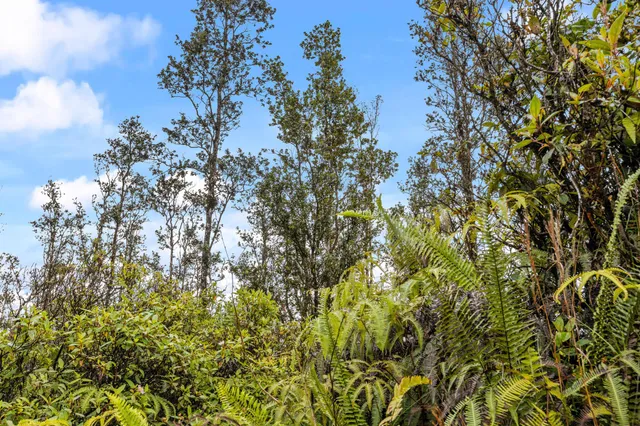 $39,000 | 3549 Road 4 (io Kea) Kurtistown Hi 96760, Pahoa, HI 96778