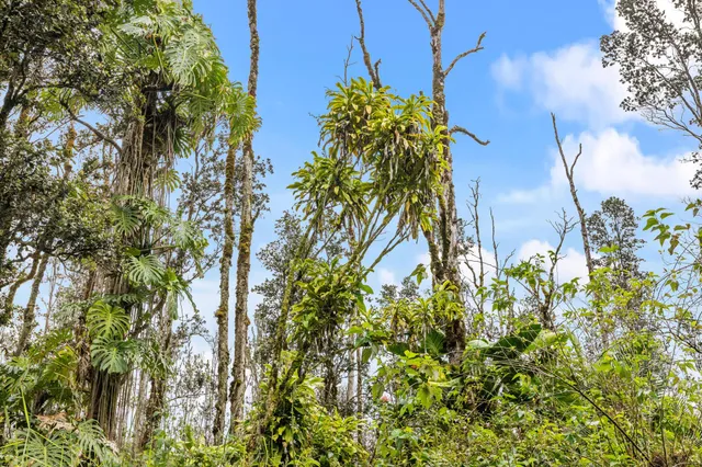 $39,000 | 3549 Road 4 (io Kea) Kurtistown Hi 96760, Pahoa, HI 96778