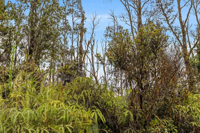 $39,000 | 3549 Road 4 (io Kea) Kurtistown Hi 96760, Pahoa, HI 96778