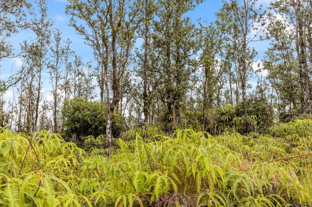 $39,000 | 3549 Road 4 (io Kea) Kurtistown Hi 96760, Pahoa, HI 96778