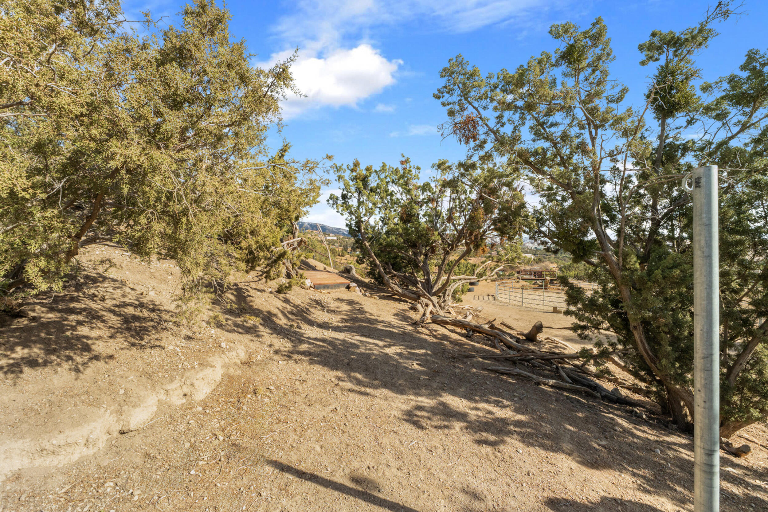 6535 Juniper Crest Road Agua Dulce, CA 91390 - Photo 50 of 63 69_dsc05337-edit