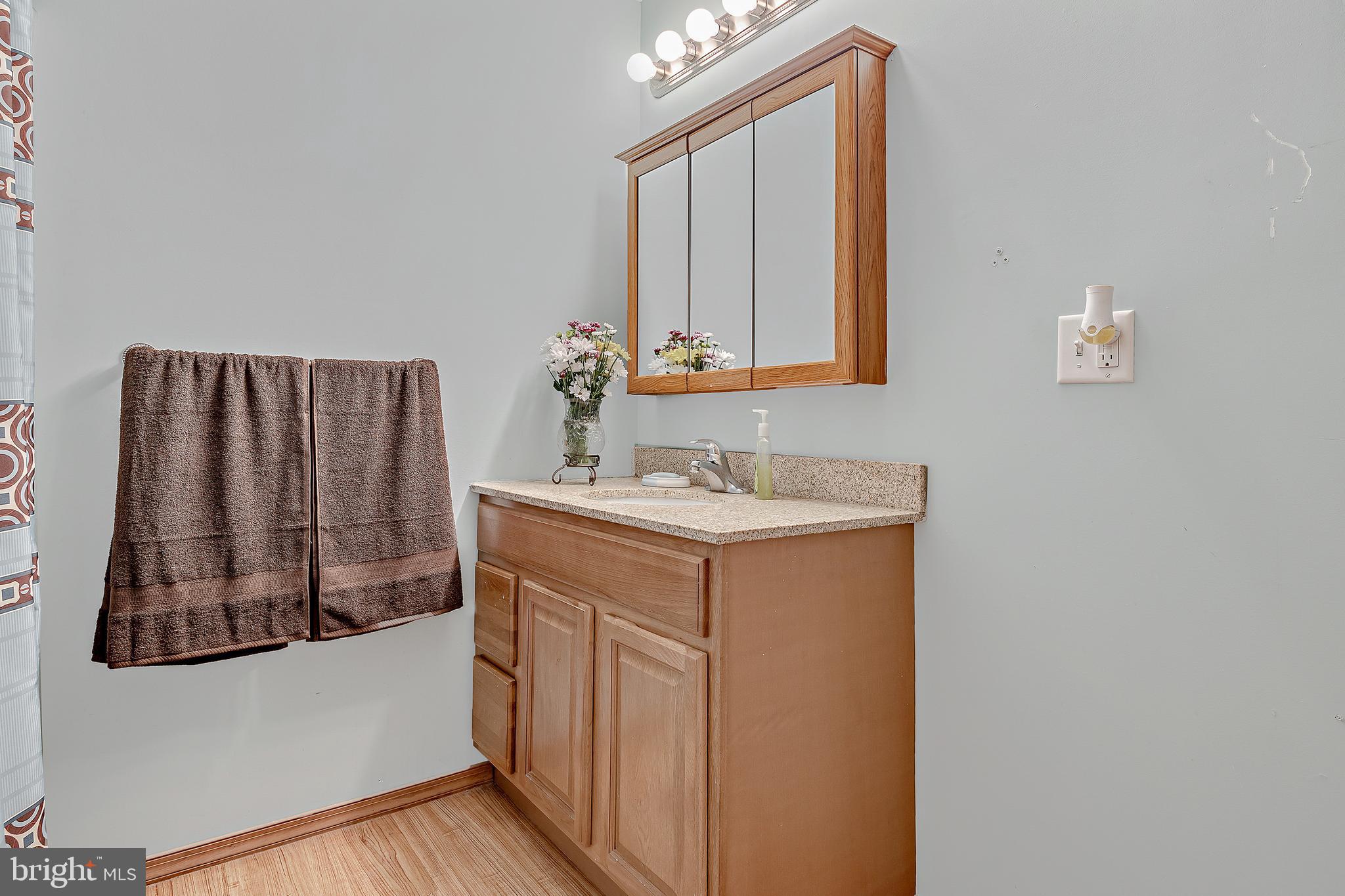 43 Hoover Road Carlisle, PA 17015 - Photo 33 of 41 Full Bath